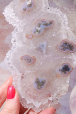 White Quartz Slice With Stalactite Eyes, Sold as Seen Rough Crystals Tali & Loz