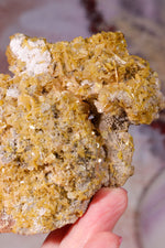 Wulfenite Mineral Specimen | 10cm | Mexico Mineral Specimen Tali & Loz Crystals