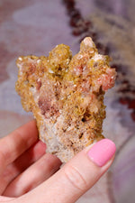 Wulfenite Mineral Specimen | 10cm | Mexico Mineral Specimen Tali & Loz Crystals