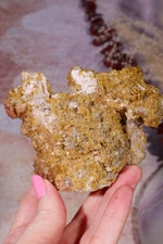 Wulfenite Mineral Specimen | 10cm | Mexico Mineral Specimen Tali & Loz Crystals