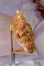 Wulfenite Mineral Specimen | 10cm | Mexico Mineral Specimen Tali & Loz Crystals