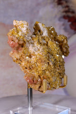 Wulfenite Mineral Specimen | 10cm | Mexico Mineral Specimen Tali & Loz Crystals