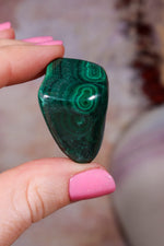 XL Malachite Tumblestones | 25-42mm | Democratic Republic of Congo Tumblestones Tali & Loz Crystals