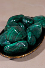 XL Malachite Tumblestones | 25-42mm | Democratic Republic of Congo Tumblestones Tali & Loz Crystals