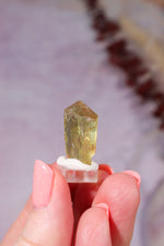 Yellow Apatite Specimen | 23mm | Cerro de Mercado, Mexico Minerals Tali & Loz Crystals