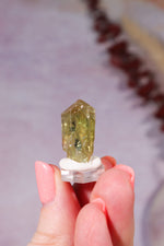 Yellow Apatite Specimen | 23mm | Cerro de Mercado, Mexico Minerals Tali & Loz Crystals