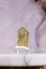 Yellow Apatite Specimen | 23mm | Cerro de Mercado, Mexico Minerals Tali & Loz Crystals
