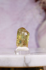 Yellow Apatite Specimen | 23mm | Cerro de Mercado, Mexico Minerals Tali & Loz Crystals