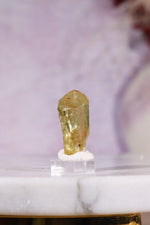 Yellow Apatite Specimen | 23mm | Cerro de Mercado, Mexico Minerals Tali & Loz Crystals