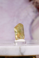 Yellow Apatite Specimen | 23mm | Cerro de Mercado, Mexico Minerals Tali & Loz Crystals