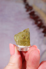 Yellow Apatite Specimen with Rainbows | 22mm | Cerro de Mercado, Mexico Minerals Tali & Loz Crystals
