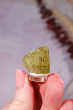 Yellow Apatite Specimen with Rainbows | 22mm | Cerro de Mercado, Mexico Minerals Tali & Loz Crystals