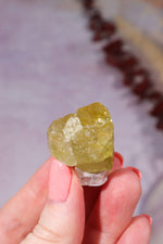Yellow Apatite Specimen with Rainbows | 22mm | Cerro de Mercado, Mexico Minerals Tali & Loz Crystals