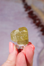 Yellow Apatite Specimen with Rainbows | 22mm | Cerro de Mercado, Mexico Minerals Tali & Loz Crystals