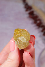 Yellow Apatite Specimen with Rainbows | 22mm | Cerro de Mercado, Mexico Minerals Tali & Loz Crystals