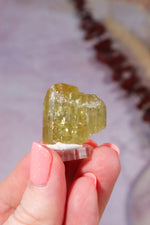 Yellow Apatite Specimen with Rainbows | 22mm | Cerro de Mercado, Mexico Minerals Tali & Loz Crystals