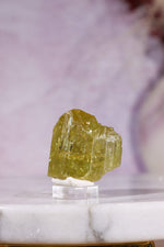 Yellow Apatite Specimen with Rainbows | 22mm | Cerro de Mercado, Mexico Minerals Tali & Loz Crystals