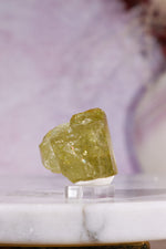 Yellow Apatite Specimen with Rainbows | 22mm | Cerro de Mercado, Mexico Minerals Tali & Loz Crystals