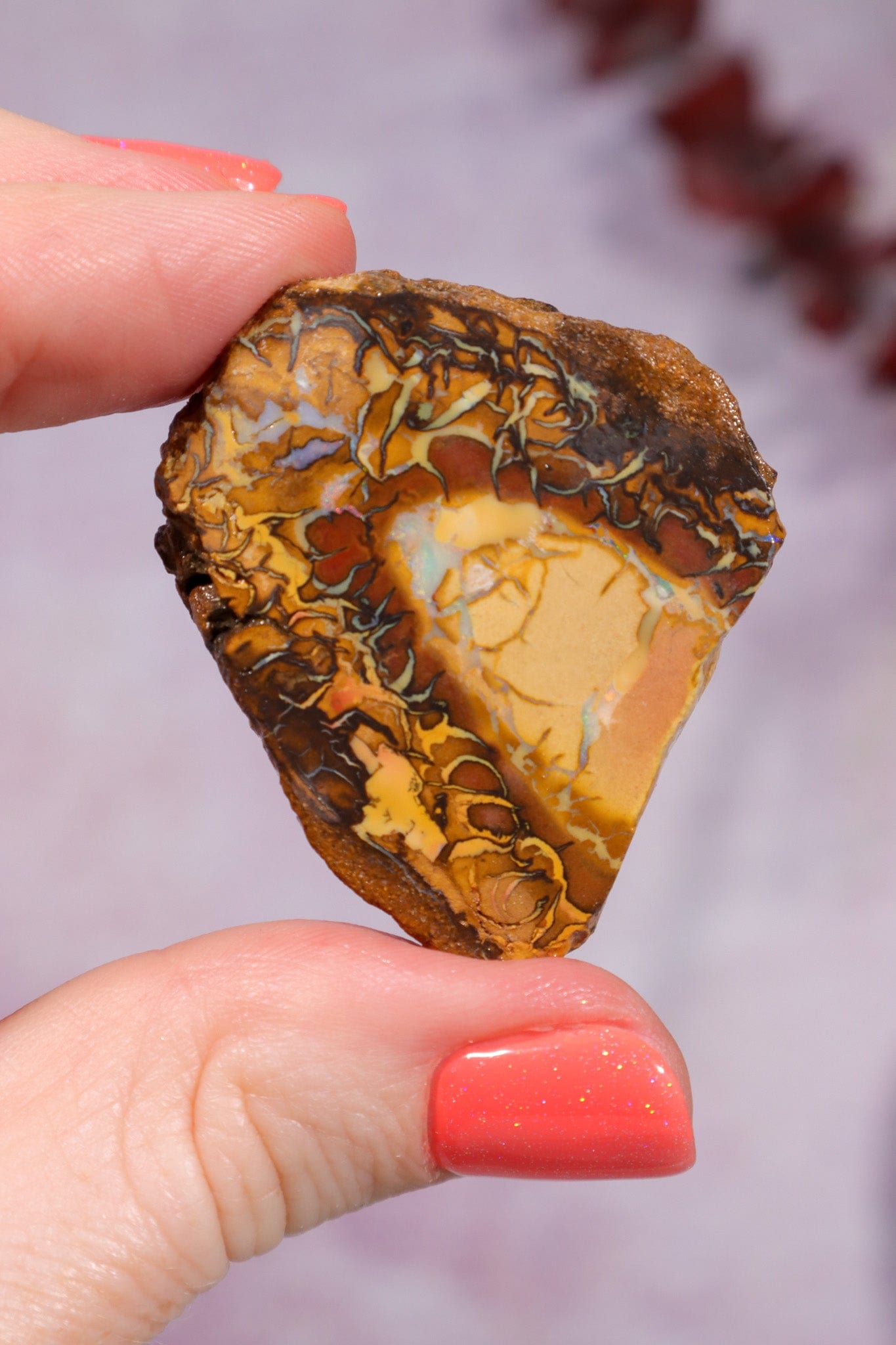 Yowah Boulder Opal Rough 13.9gr Rocks & Fossils Tali & Loz Crystals