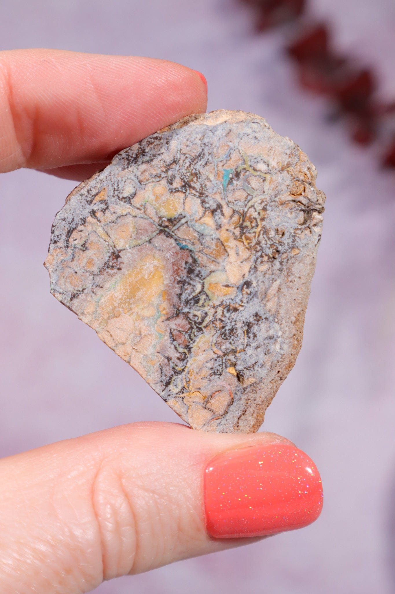 Yowah Boulder Opal Rough 13.9gr Rocks & Fossils Tali & Loz Crystals