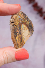 Yowah Boulder Opal Rough 13.9gr Rocks & Fossils Tali & Loz Crystals