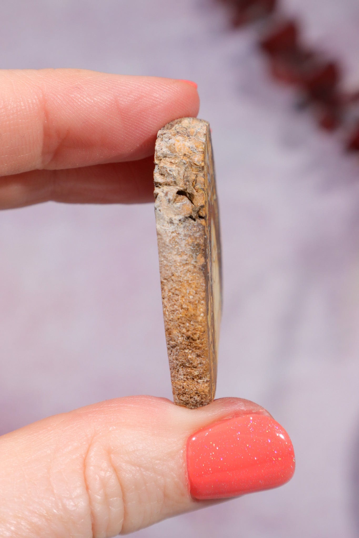 Yowah Boulder Opal Rough 13.9gr Rocks & Fossils Tali & Loz Crystals