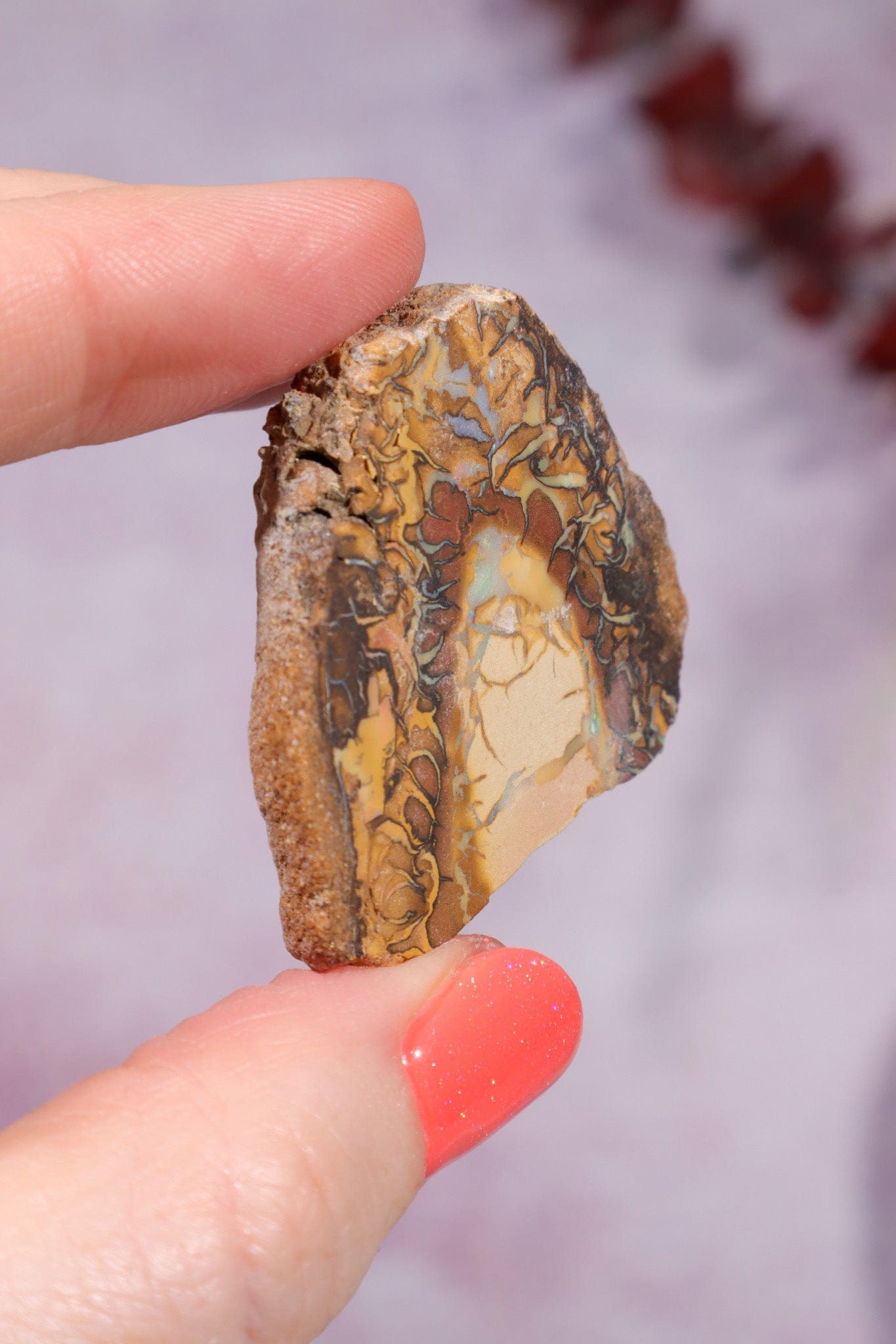 Yowah Boulder Opal Rough 13.9gr Rocks & Fossils Tali & Loz Crystals