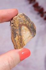 Yowah Boulder Opal Rough 13.9gr Rocks & Fossils Tali & Loz Crystals