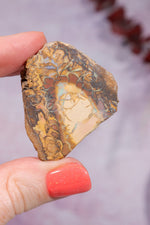 Yowah Boulder Opal Rough 13.9gr Rocks & Fossils Tali & Loz Crystals