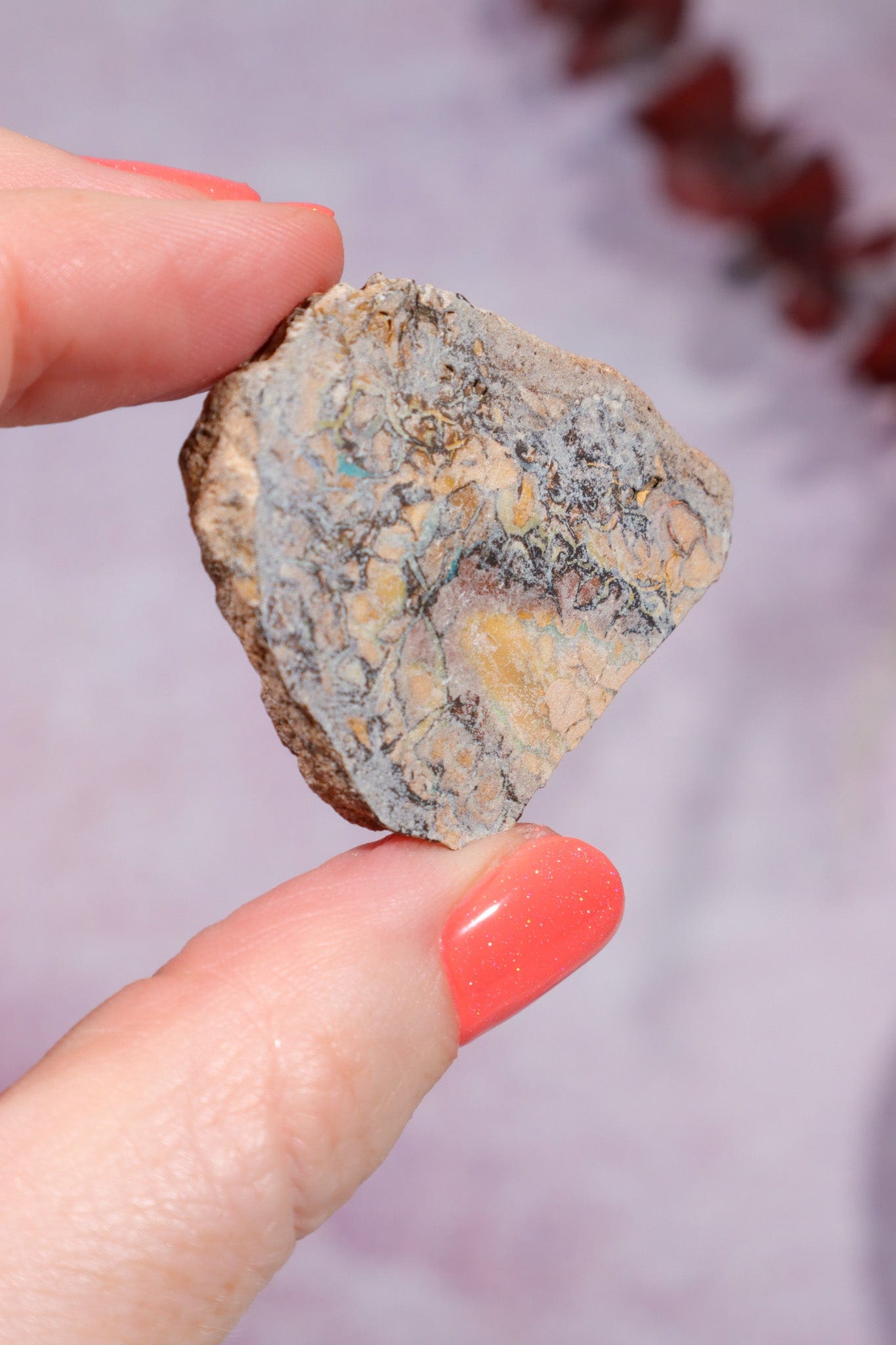 Yowah Boulder Opal Rough 13.9gr Rocks & Fossils Tali & Loz Crystals