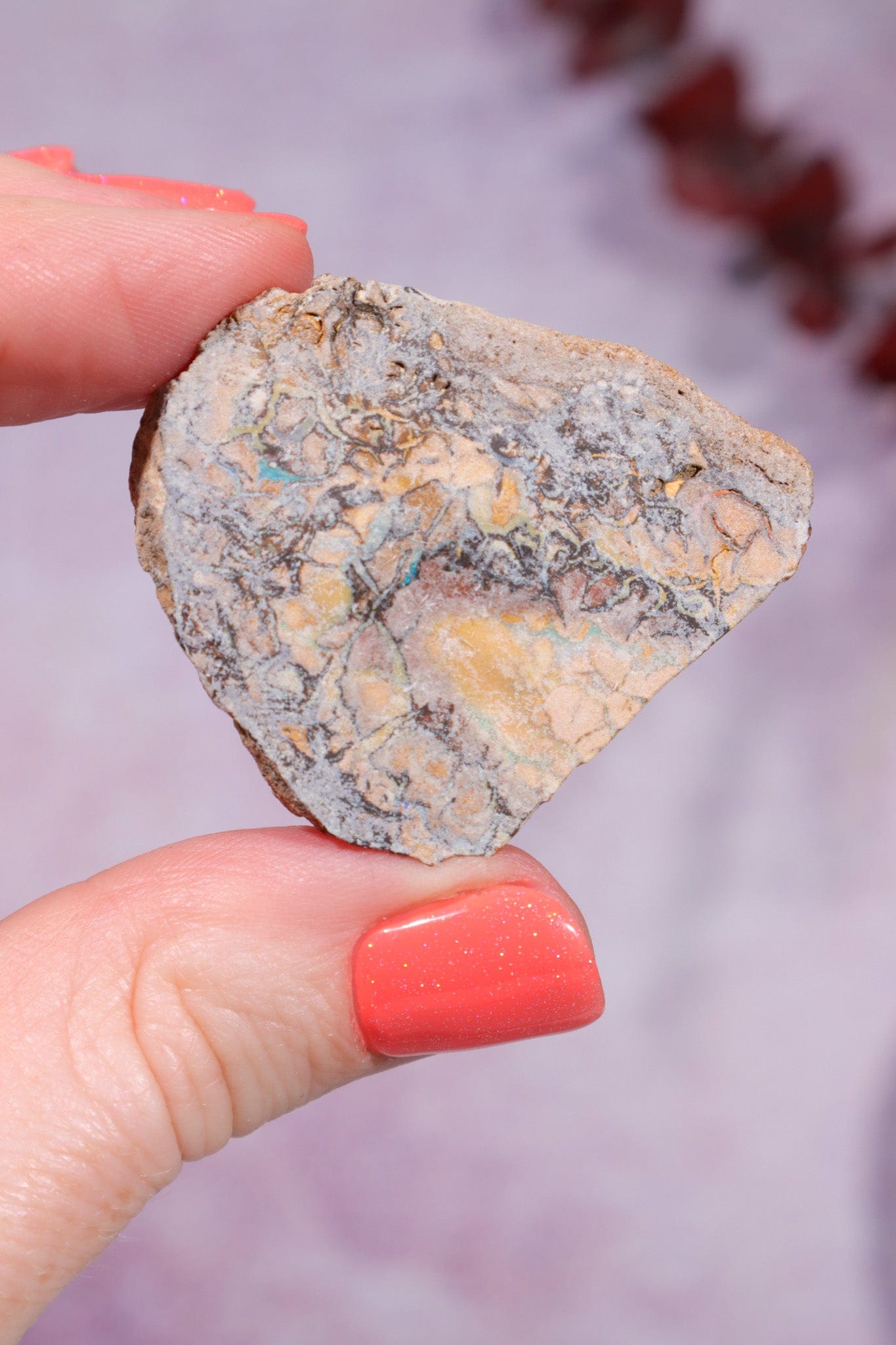 Yowah Boulder Opal Rough 13.9gr Rocks & Fossils Tali & Loz Crystals