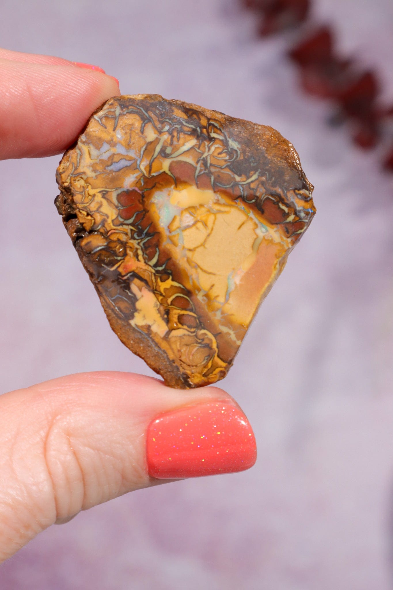 Yowah Boulder Opal Rough 13.9gr Rocks & Fossils Tali & Loz Crystals