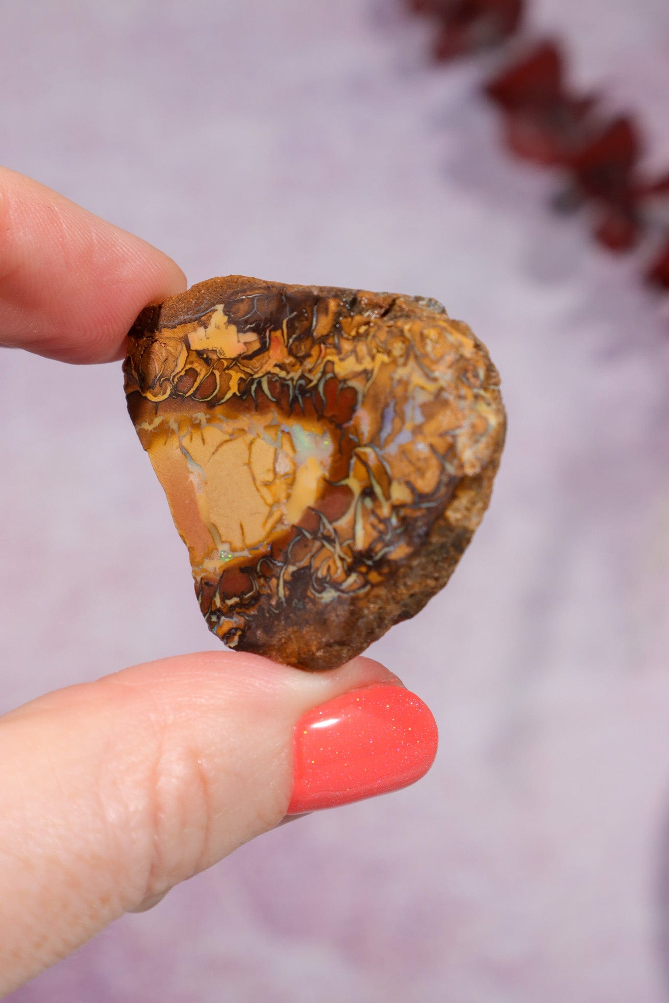 Yowah Boulder Opal Rough 13.9gr Rocks & Fossils Tali & Loz Crystals
