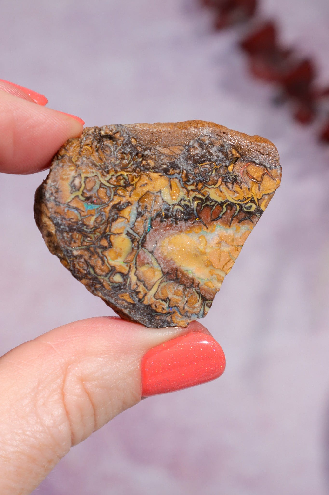 Yowah Boulder Opal Rough 13.9gr Rocks & Fossils Tali & Loz Crystals