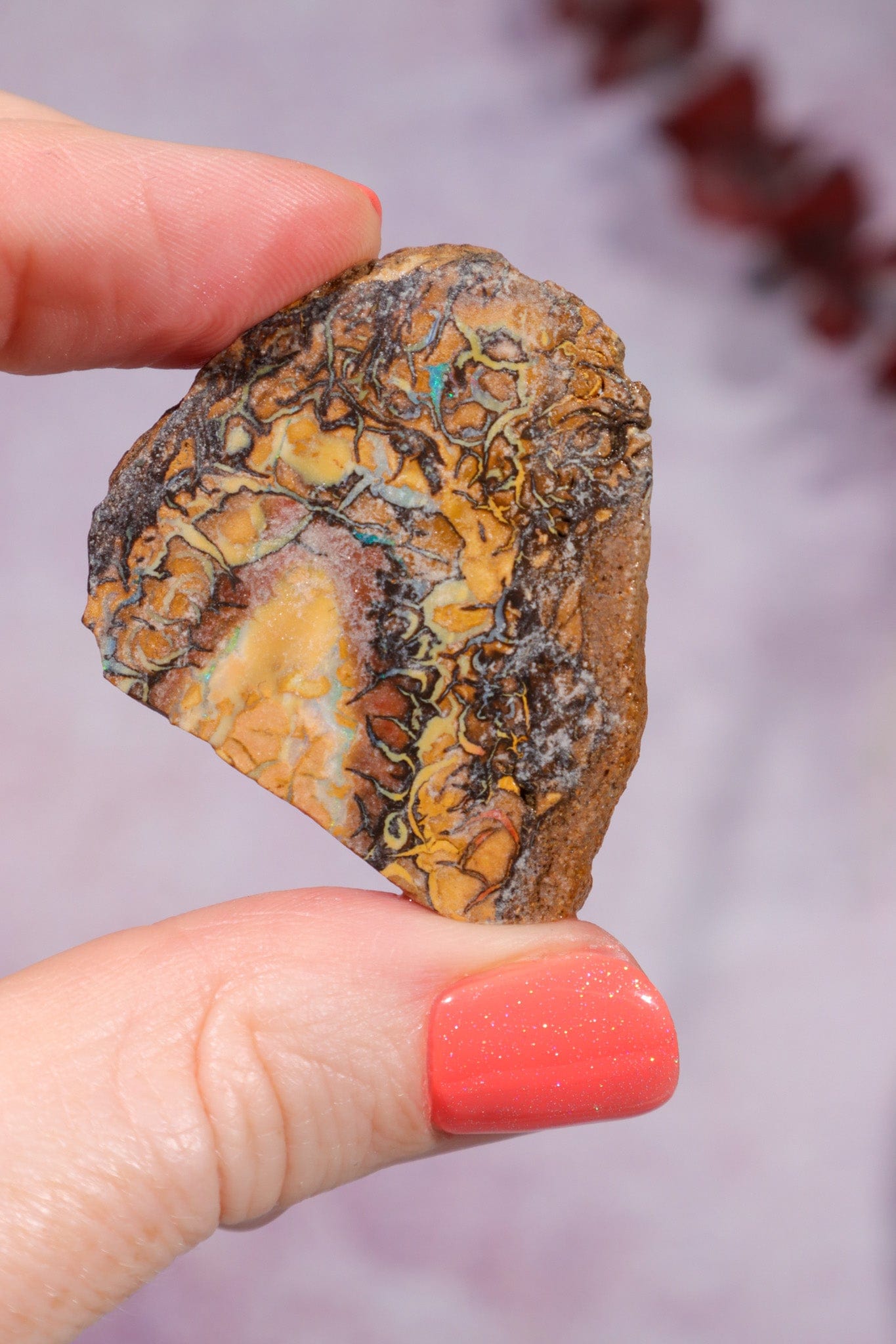 Yowah Boulder Opal Rough 13.9gr Rocks & Fossils Tali & Loz Crystals