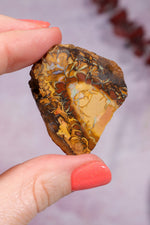 Yowah Boulder Opal Rough 13.9gr Rocks & Fossils Tali & Loz Crystals