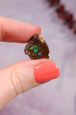 Yowah Boulder Opal Rough 2.22gr Rocks & Fossils Tali & Loz Crystals