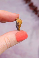 Yowah Boulder Opal Rough 2.22gr Rocks & Fossils Tali & Loz Crystals