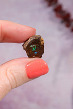 Yowah Boulder Opal Rough 2.22gr Rocks & Fossils Tali & Loz Crystals