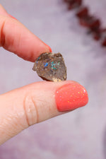 Yowah Boulder Opal Rough 2.22gr Rocks & Fossils Tali & Loz Crystals