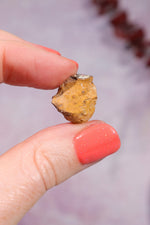 Yowah Boulder Opal Rough 2.22gr Rocks & Fossils Tali & Loz Crystals