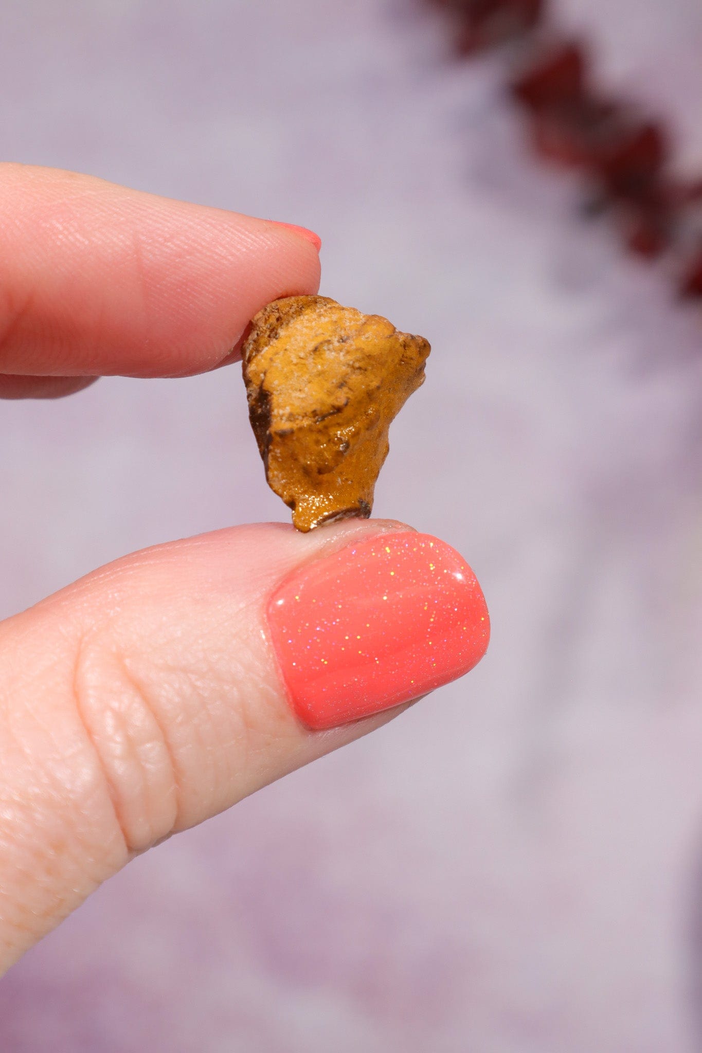 Yowah Boulder Opal Rough 2.22gr Rocks & Fossils Tali & Loz Crystals