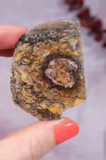 Yowah Boulder Opal Rough 26gr Rocks & Fossils Tali & Loz Crystals