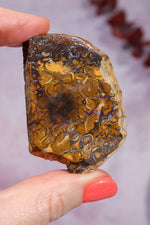 Yowah Boulder Opal Rough 26gr Rocks & Fossils Tali & Loz Crystals