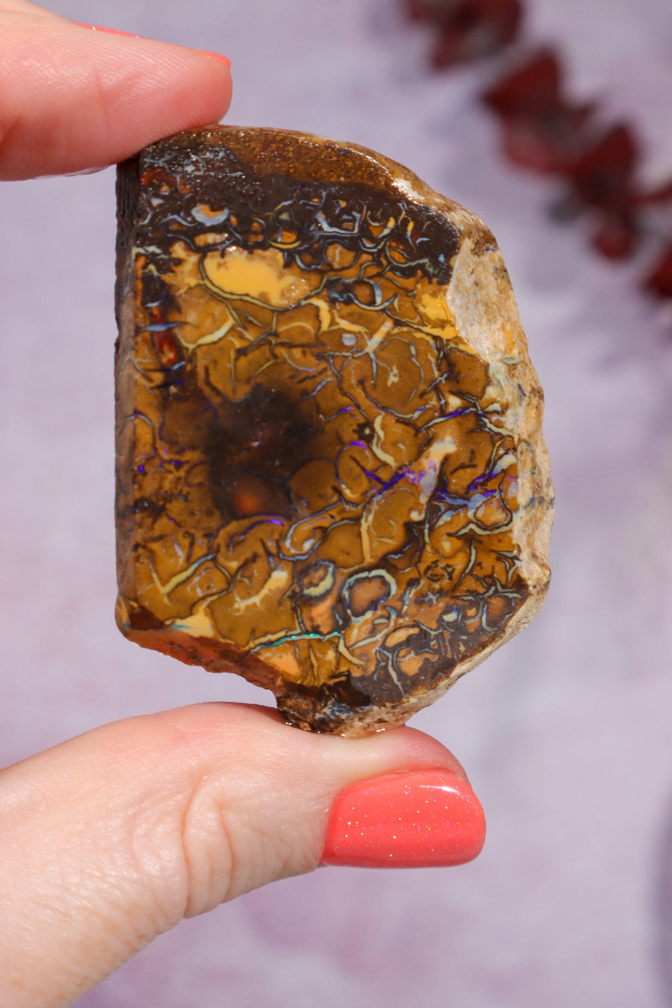 Yowah Boulder Opal Rough 26gr Rocks & Fossils Tali & Loz Crystals