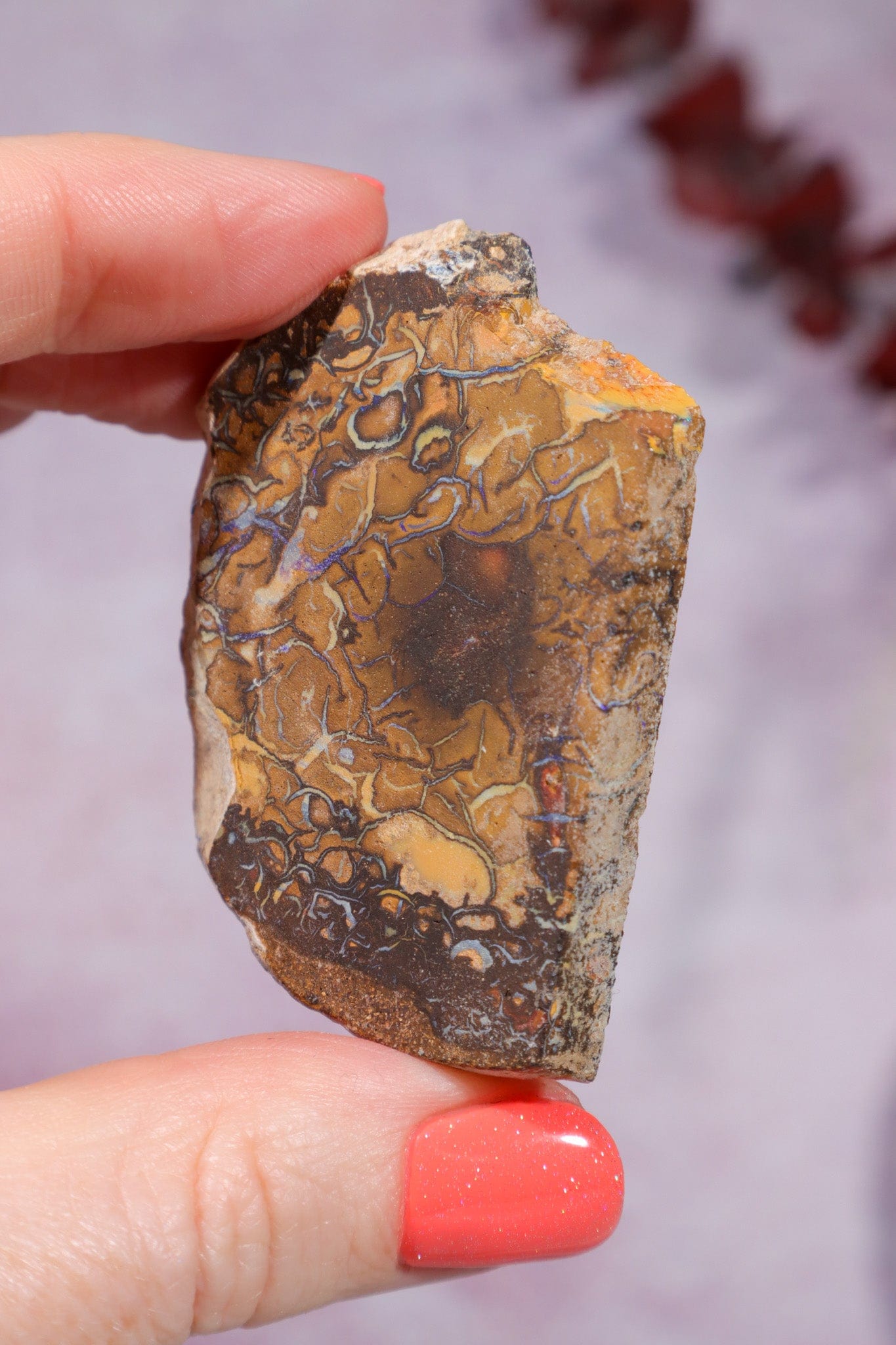 Yowah Boulder Opal Rough 26gr Rocks & Fossils Tali & Loz Crystals