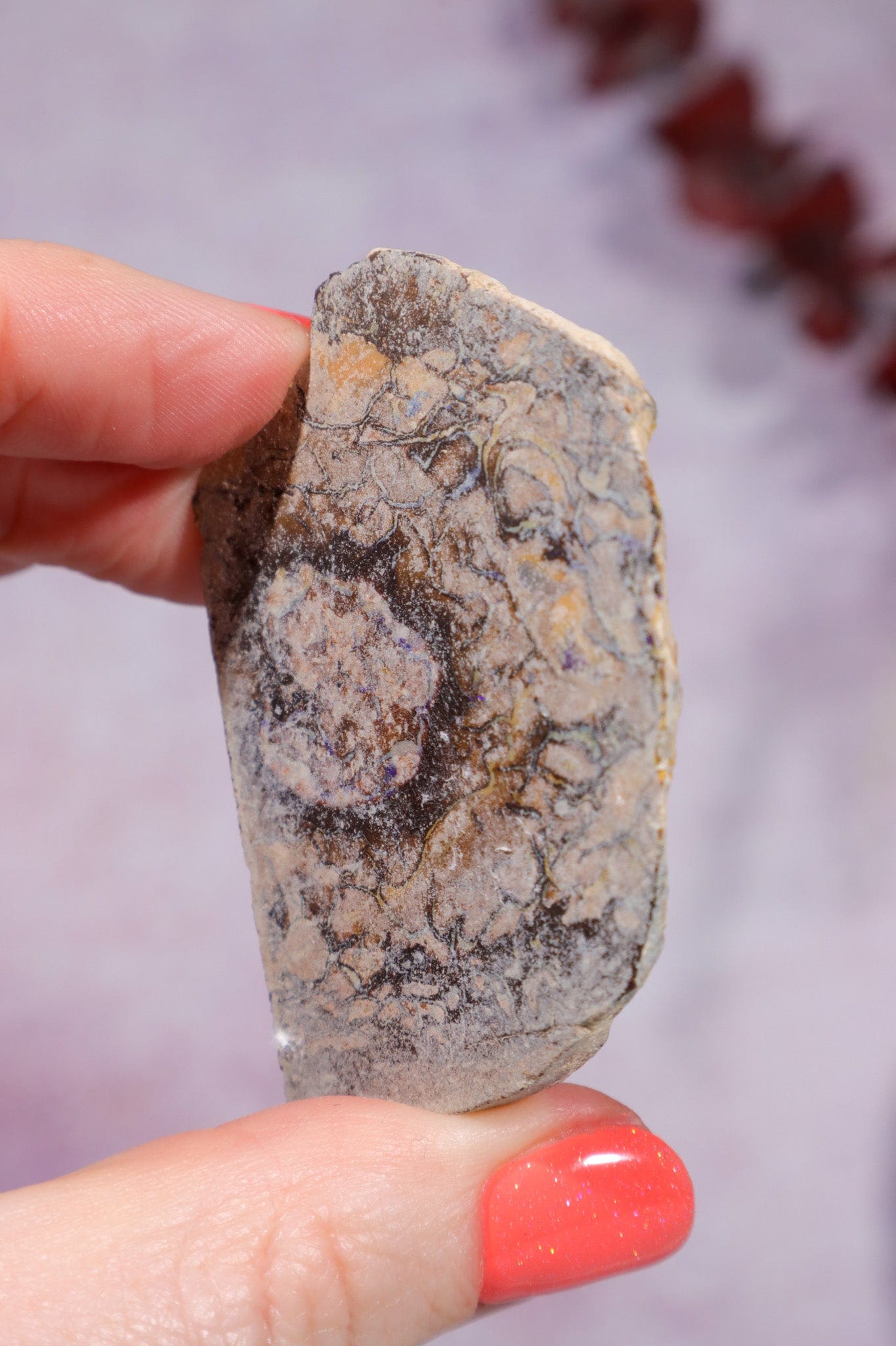 Yowah Boulder Opal Rough 26gr Rocks & Fossils Tali & Loz Crystals