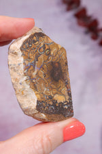 Yowah Boulder Opal Rough 26gr Rocks & Fossils Tali & Loz Crystals