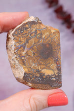 Yowah Boulder Opal Rough 26gr Rocks & Fossils Tali & Loz Crystals