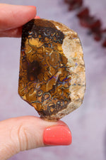 Yowah Boulder Opal Rough 26gr Rocks & Fossils Tali & Loz Crystals